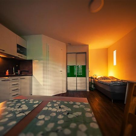 Gottwaldhaus-Freiberg-Apartment / A Экстерьер фото